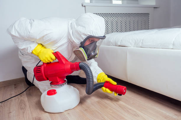 Best Cockroach Control Services  in Minonk, IL