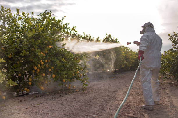 Best Bed Bug Extermination  in Minonk, IL